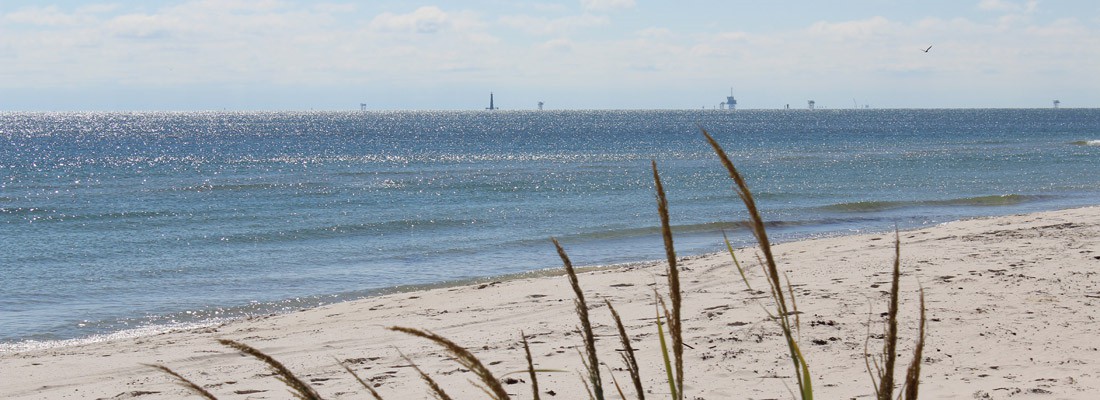 Sea Oats